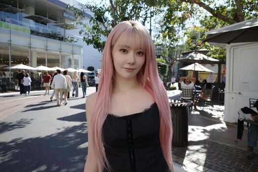 Sakura miyawaki image