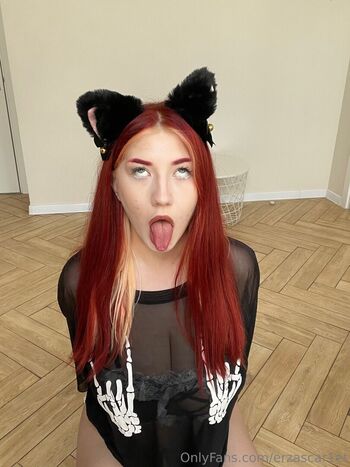 Sakura moon sakura moon image