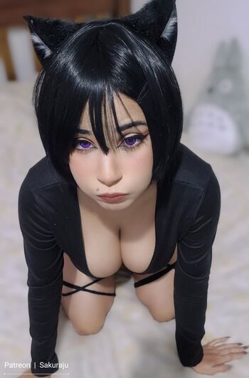 Sakuraju asmr image
