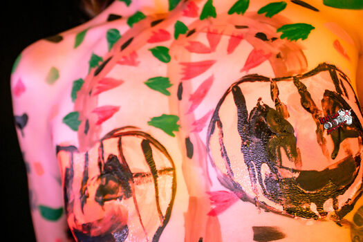 Salina barajas image