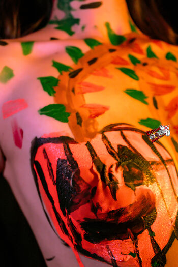 Salina barajas image