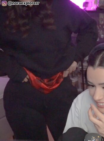 Salmmus page 2 image