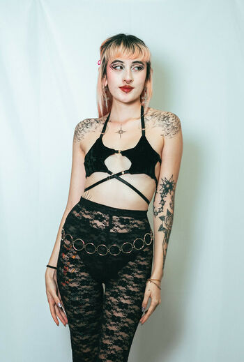 Salyfisher image