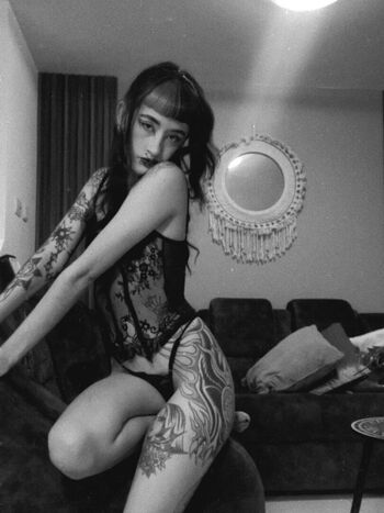 Salyfisher image