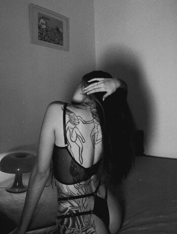 Salyfisher image