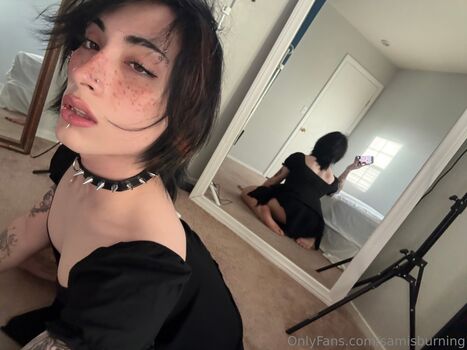 Samisburning image