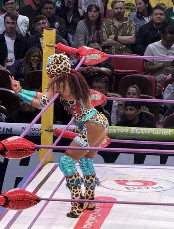 Sasha banks page 9 image