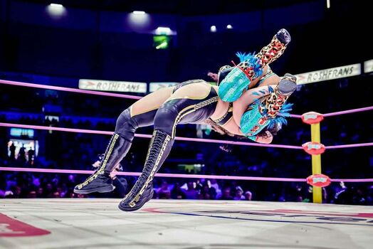 Sasha banks page 8 image