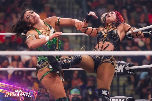 Sasha banks page 2 image