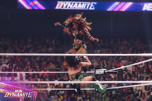 Sasha banks image