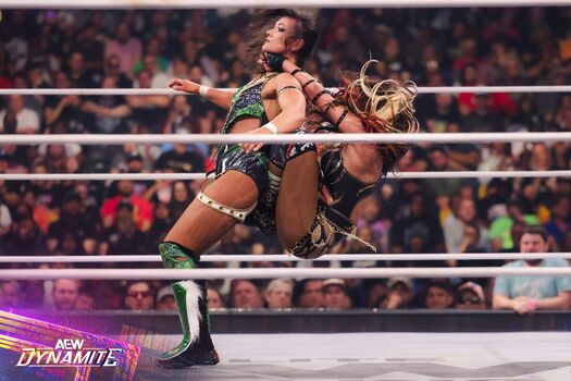 Sasha banks image