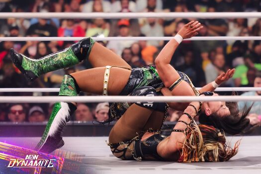 Sasha banks image