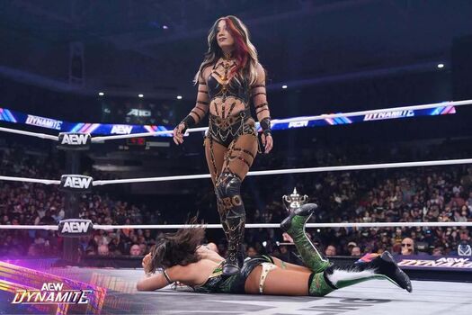 Sasha banks image