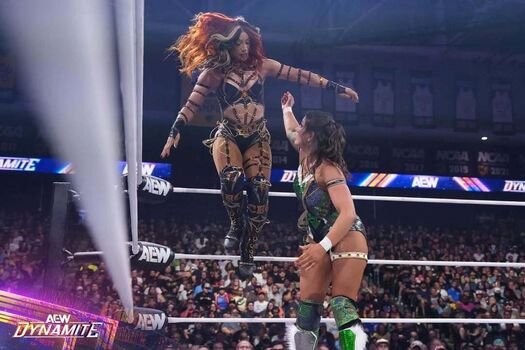 Sasha banks image
