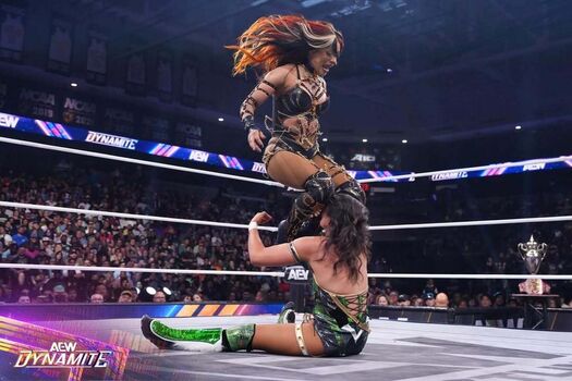 Sasha banks image