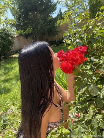 Sasha rose page 4 image