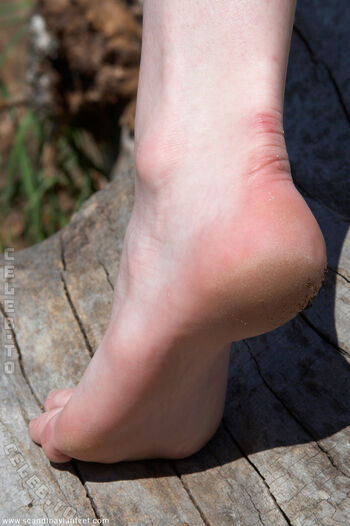 Scandinavian feet page 2 image
