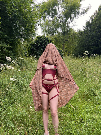 Scarlett poppy page 2 image