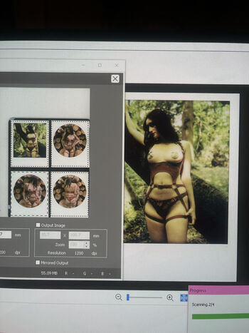 Scarlett poppy image