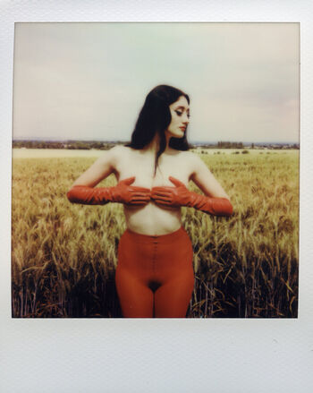 Scarlett poppy image