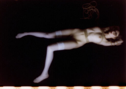 Scarlett poppy image