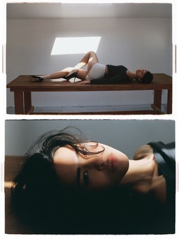 Schassi image