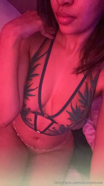 Scorpiovee page 2 image