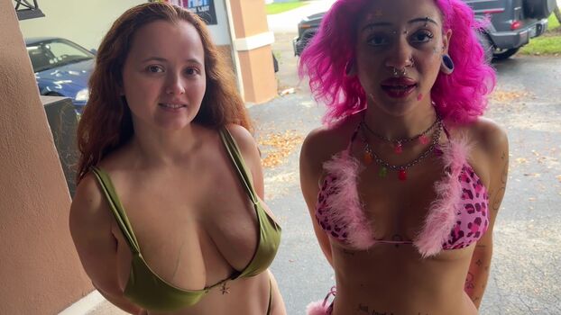 Scott Stark | Household Fantasy |