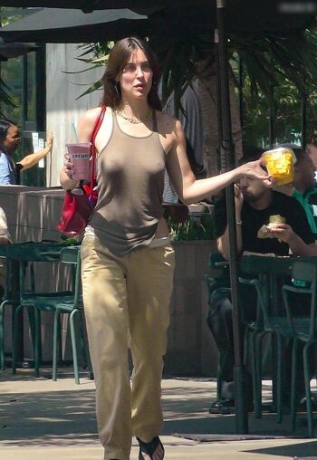 Scout willis image