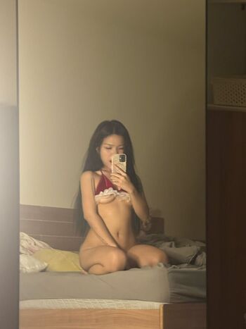 Sdgrliceeee1 page 2 image