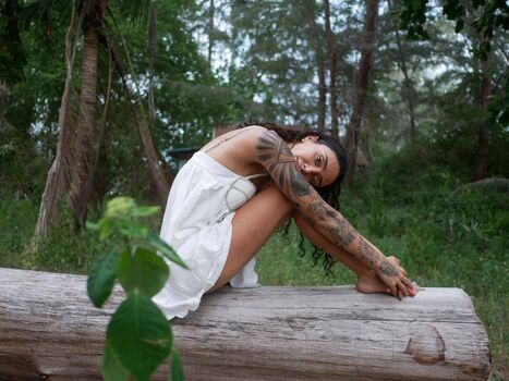 Sedademirdogenn image