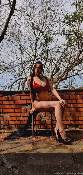 Senta kristall image