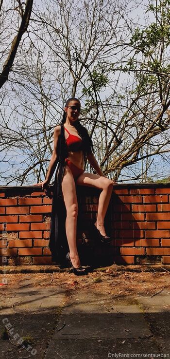 Senta kristall image