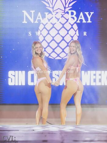 Sentnert twins image