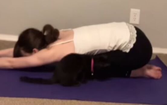 Seraphinathealien image