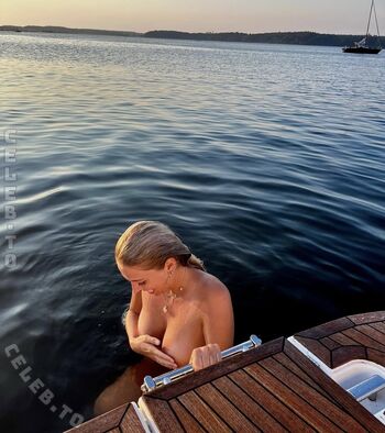 Serineandersen image