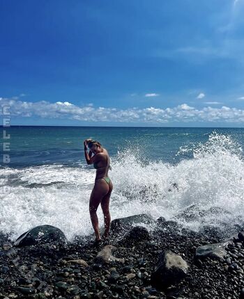 Serineandersen image