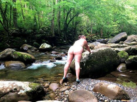 Sevierfuncpl page 2 image