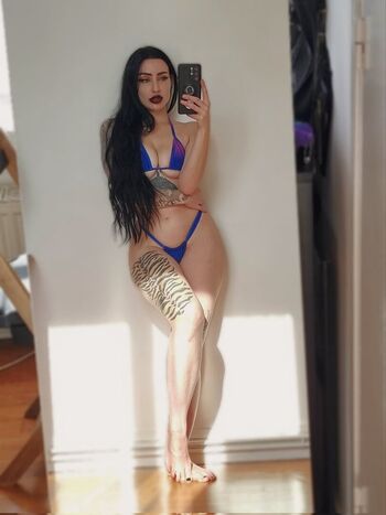 Shadowxparis image
