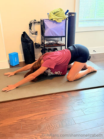 Shannon elizabeth page 2 image