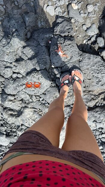 Shannon zhao page 3 image