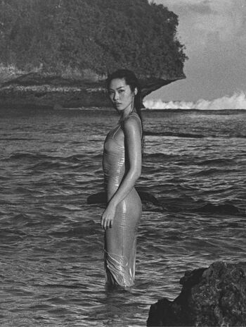 Shannon zhao page 2 image