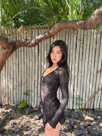 Shannon zhao page 2 image