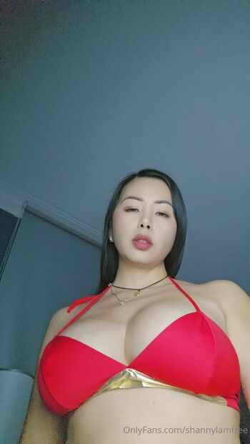 Shanny lam 1 page 2 image
