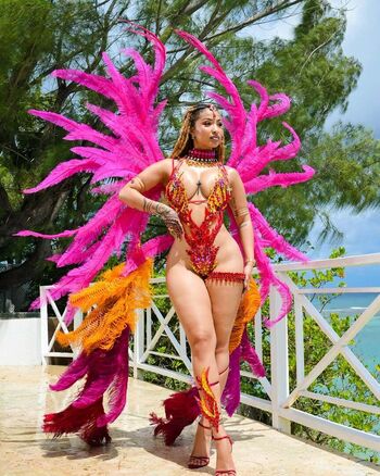 Shenseea image