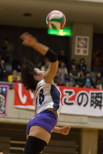 Shiho yoshimura image