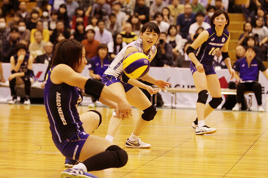 Shiho yoshimura image