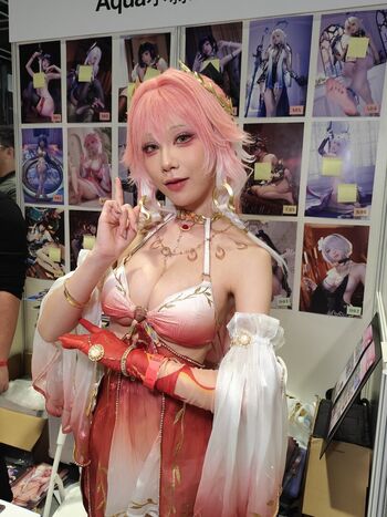 Shuimiaoaqua image