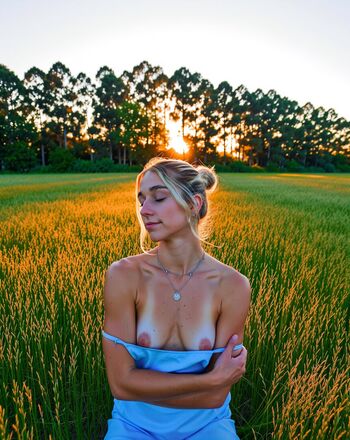 Siena palicke image