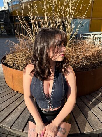Siennaastarr image